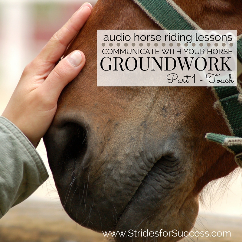 Just a Touch Horse Number Explained: Tips and Tricks for Success