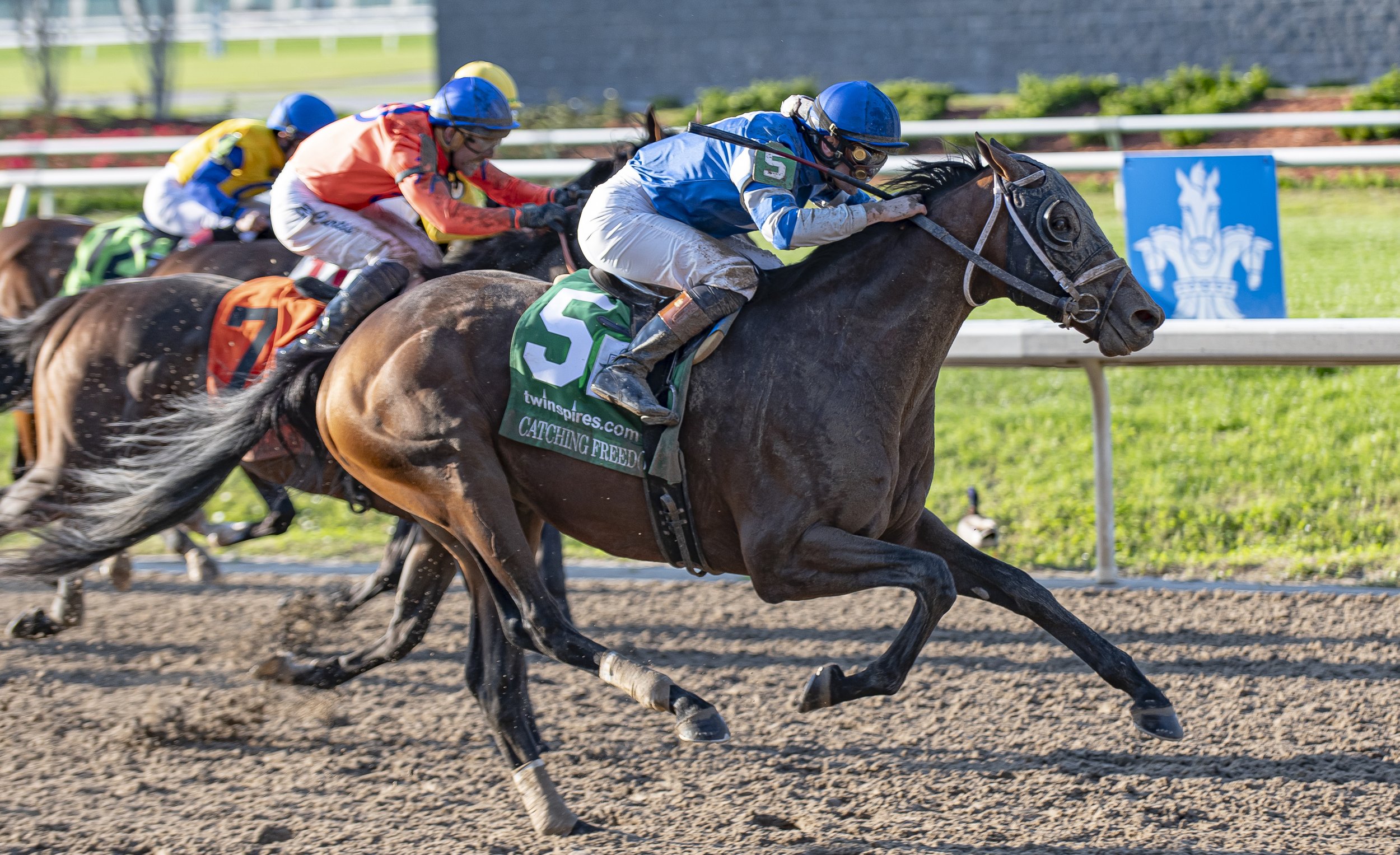 Albaugh Horse in Kentucky Derby: Can They Win? Everything You Need to Know About This Years Big Race