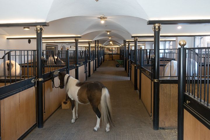 Zayat Stables Location: Where Are These Famous Racehorses Based and Trained?