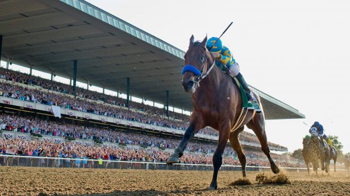 Zayat Stables Location: Where Are These Famous Racehorses Based and Trained?