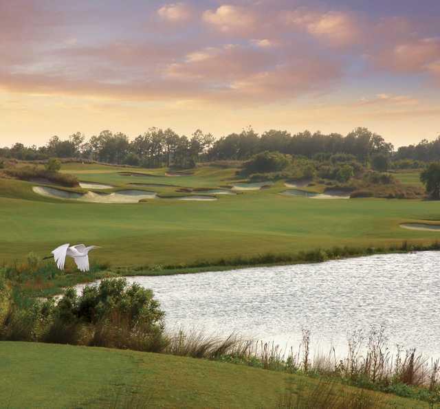 Barefoot Fazio: Is it Worth it? (What Golfers Say)