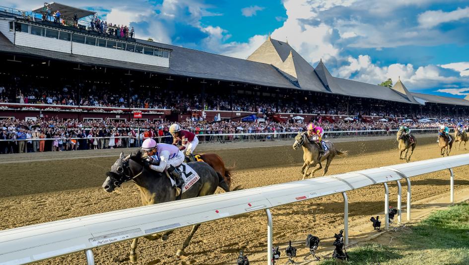 Thoroughbred Stakes Schedule 2024: Find Out When and Where to Watch the Races