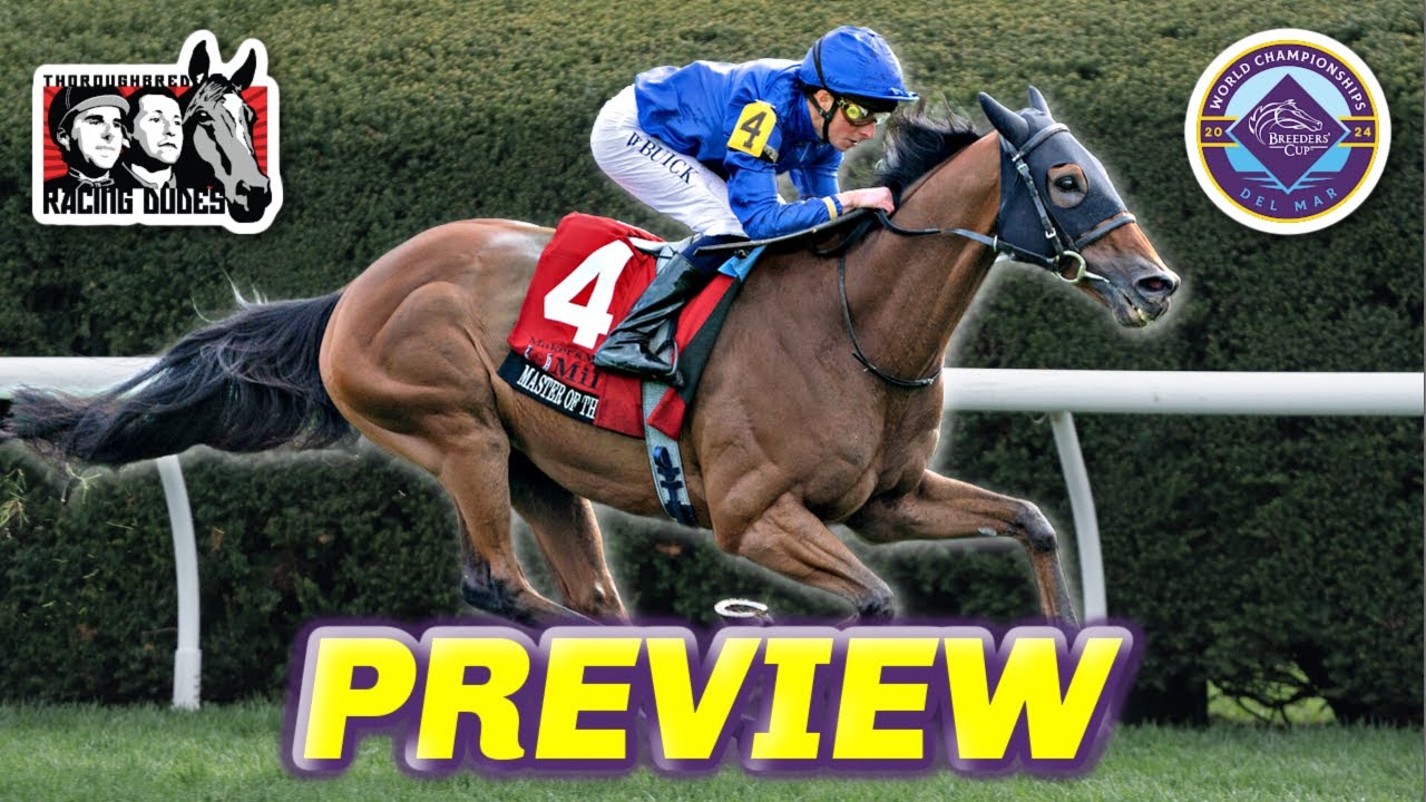Fourstardave: Is It Worth the Hype? Get the real scoop.
