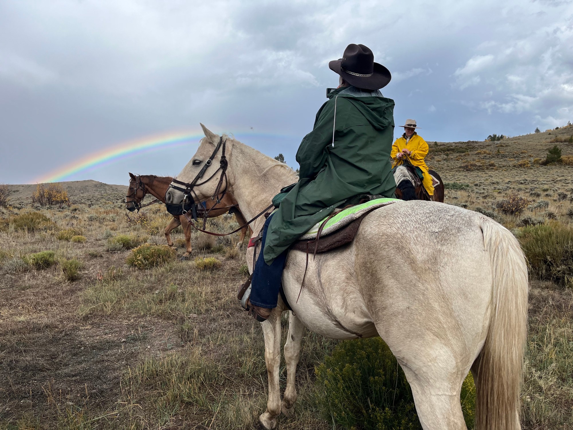 Stay Safe in Horse Thunder Snow: Essential Safety Tips for Riders