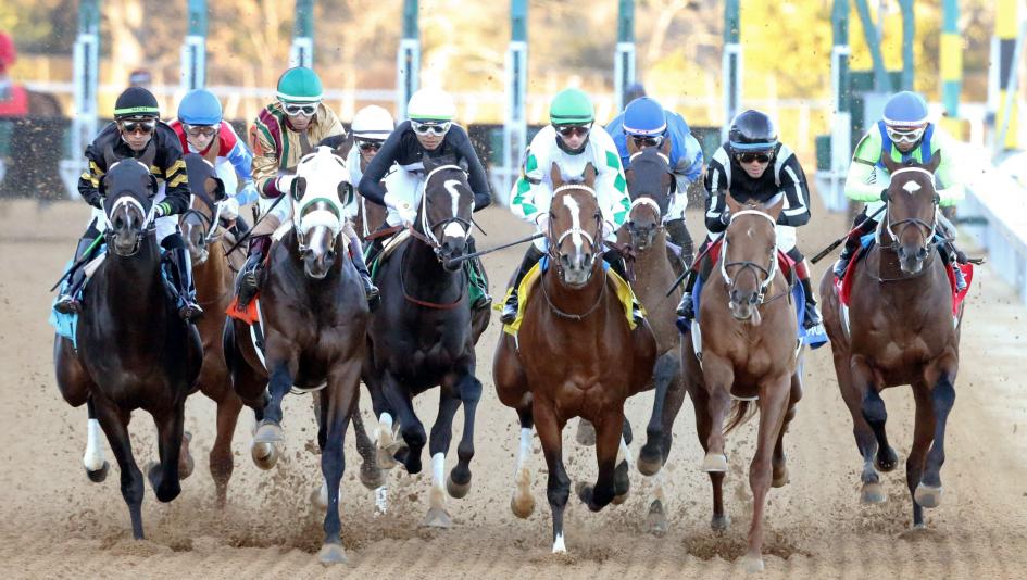 Kentucky Derby Preps 2024: Whos Hot (And Whos Not on the Road to the Roses)