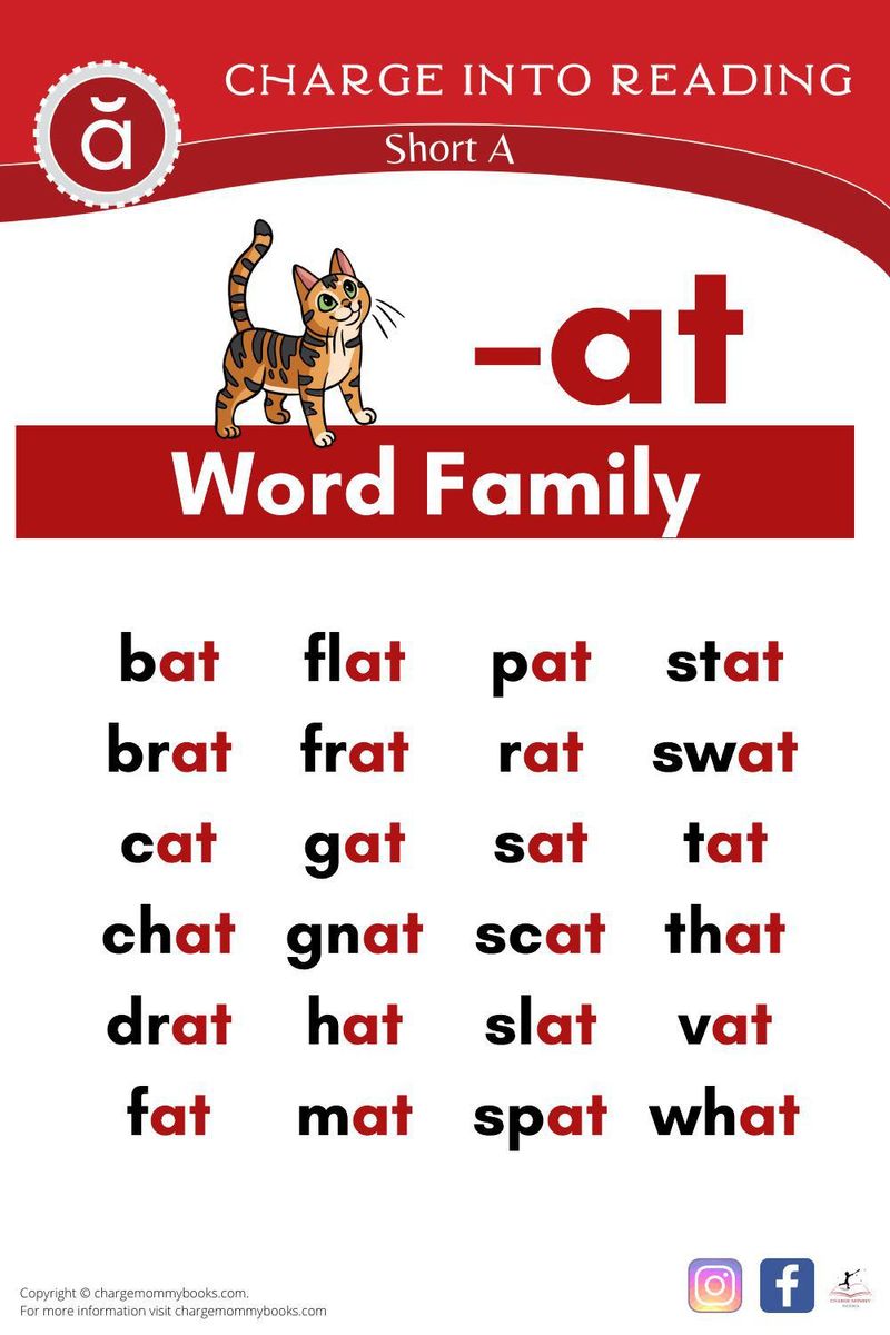 Words With Only A As A Vowel: Discover Fun And Easy Examples