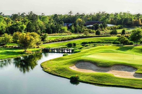 Barefoot Fazio: Is it Worth it? (What Golfers Say)