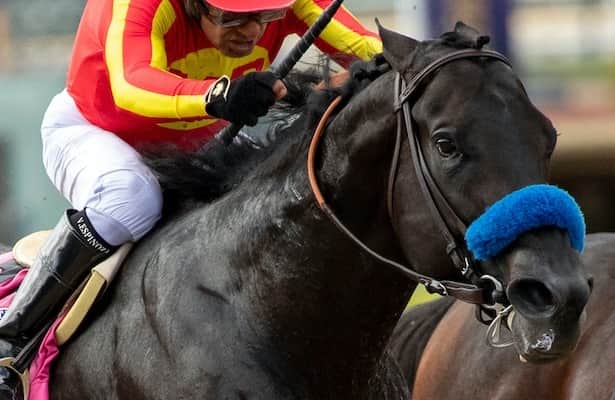 Malibu Stakes 2023 Predictions: Expert Picks and Analysis for Who Will Win This Years Race and Why!