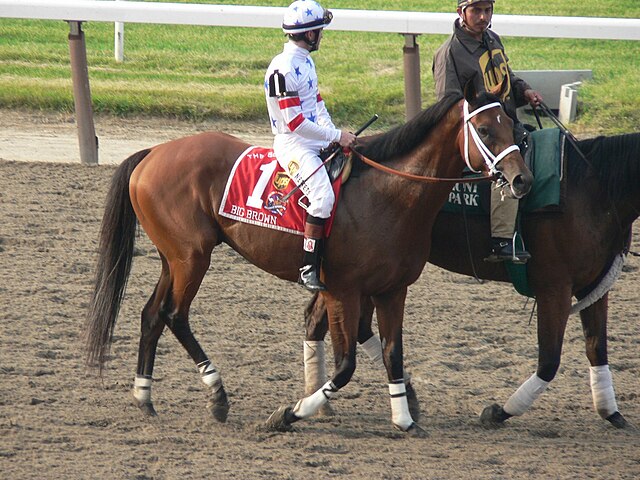 Big Brown Race Horse: Why is He So Famous?