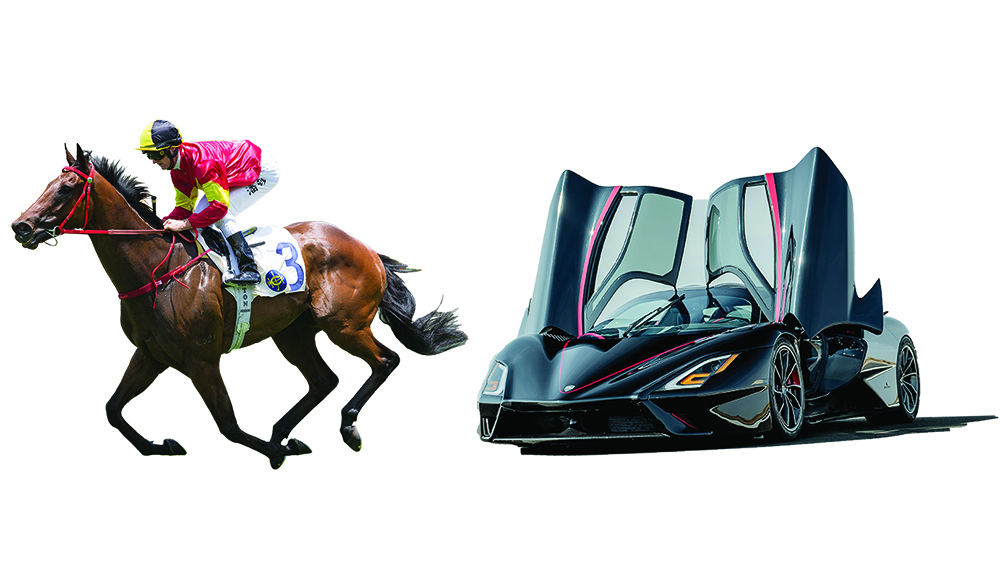 How to Bet on Winning Brew Horse: Expert Advice for Selecting a Winning Brew Horse
