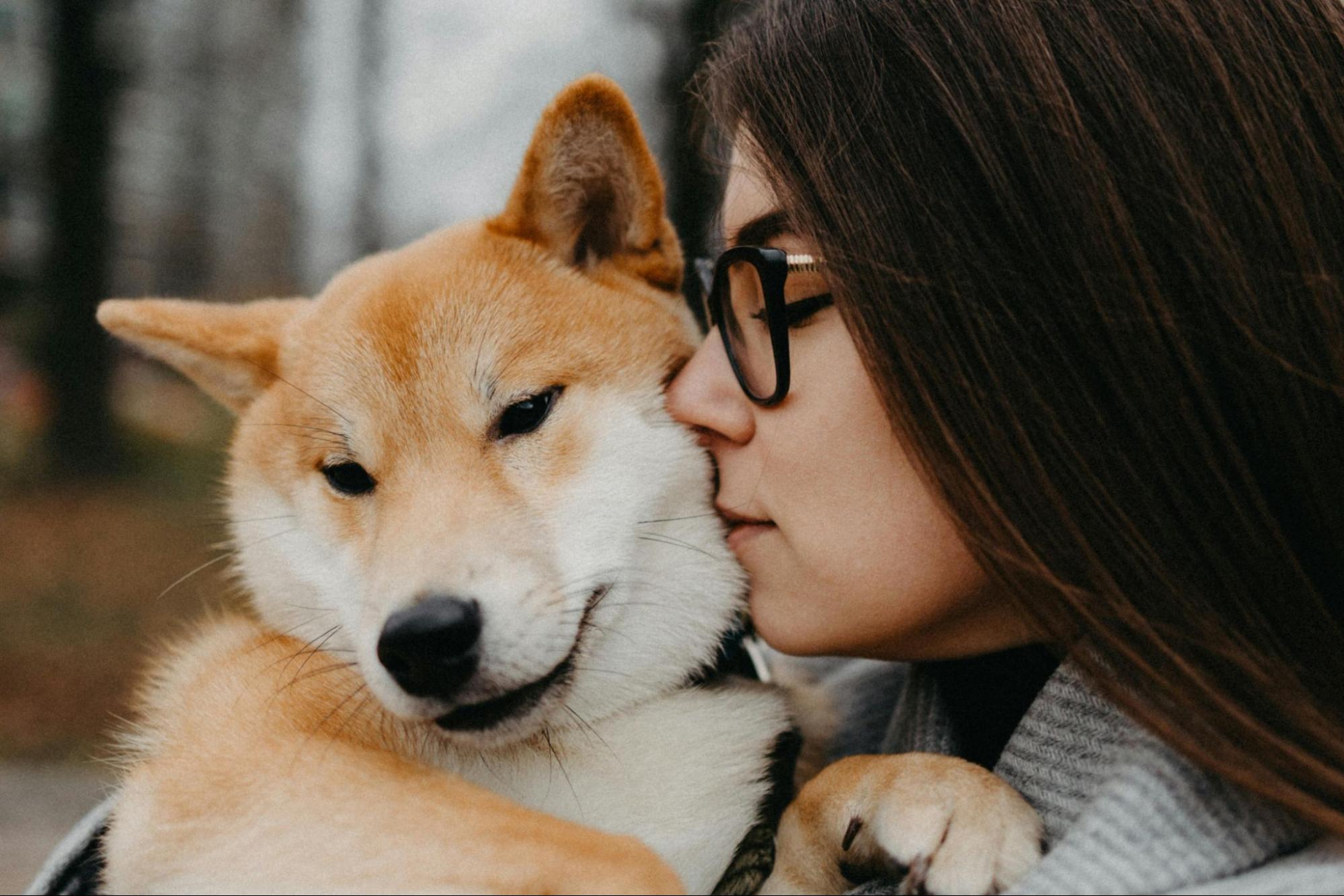 Choosing an Asian Breed: What You Need to Know First
