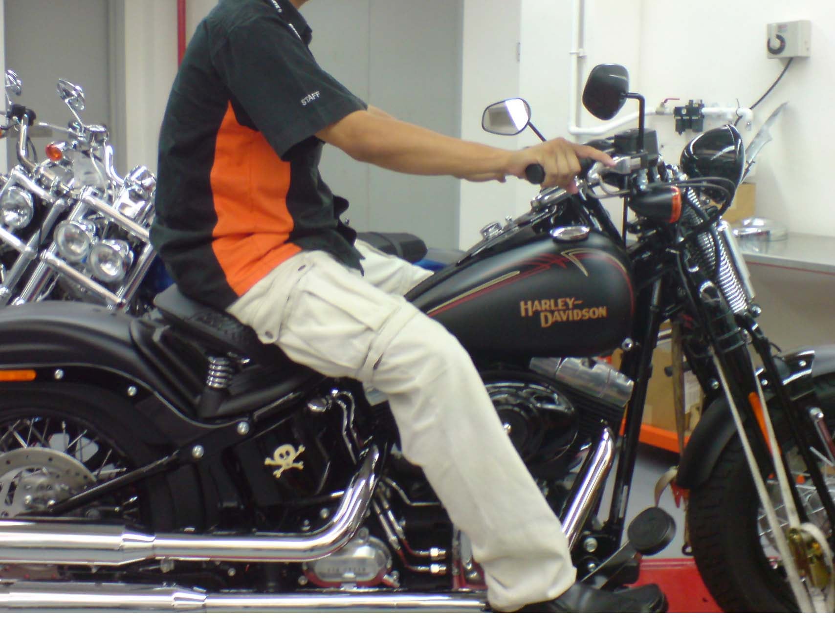 Thinking About a Crossbones Harley Davidson? (Heres What You Need to Consider Before Buying)