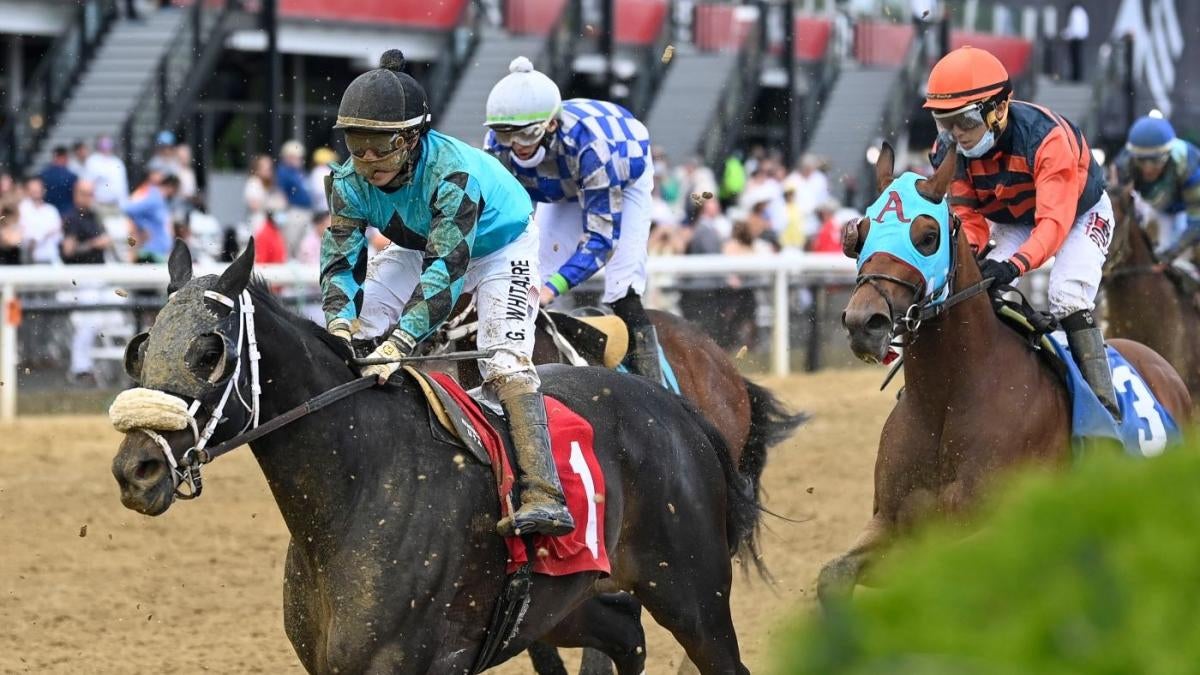 the jim dandy stakes 2024 bets: who is the best choice to win (experts recommend it)?