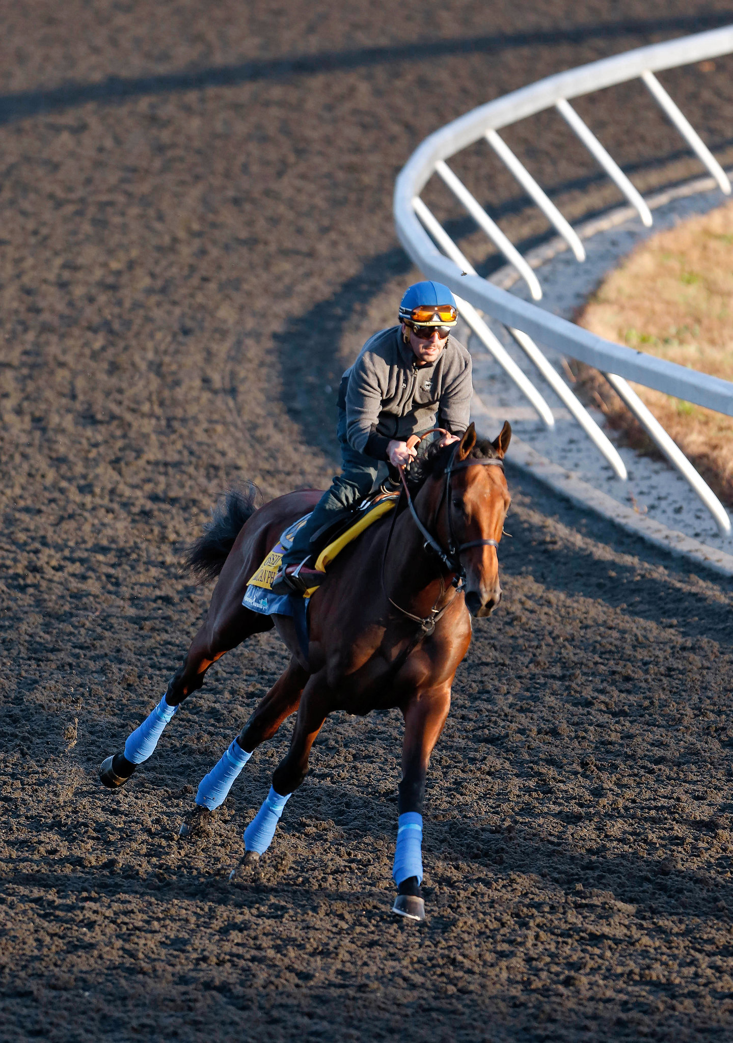 Zayat Stables Location: Where Are These Famous Racehorses Based and Trained?