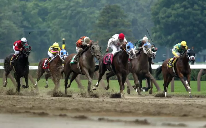 the jim dandy stakes 2024 bets: who is the best choice to win (experts recommend it)?