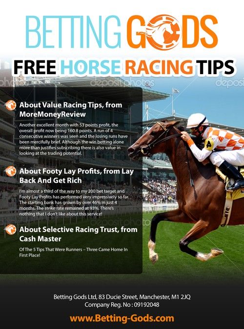No more time horse racing tips (Top tips and advice you need)