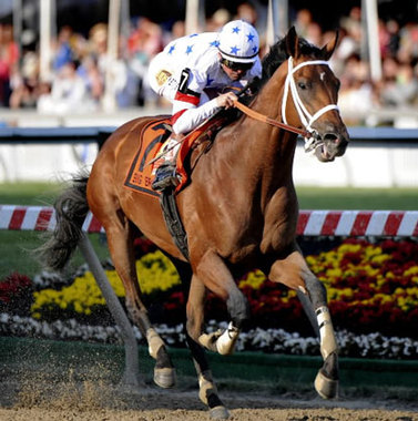 Big Brown Race Horse: Why is He So Famous?