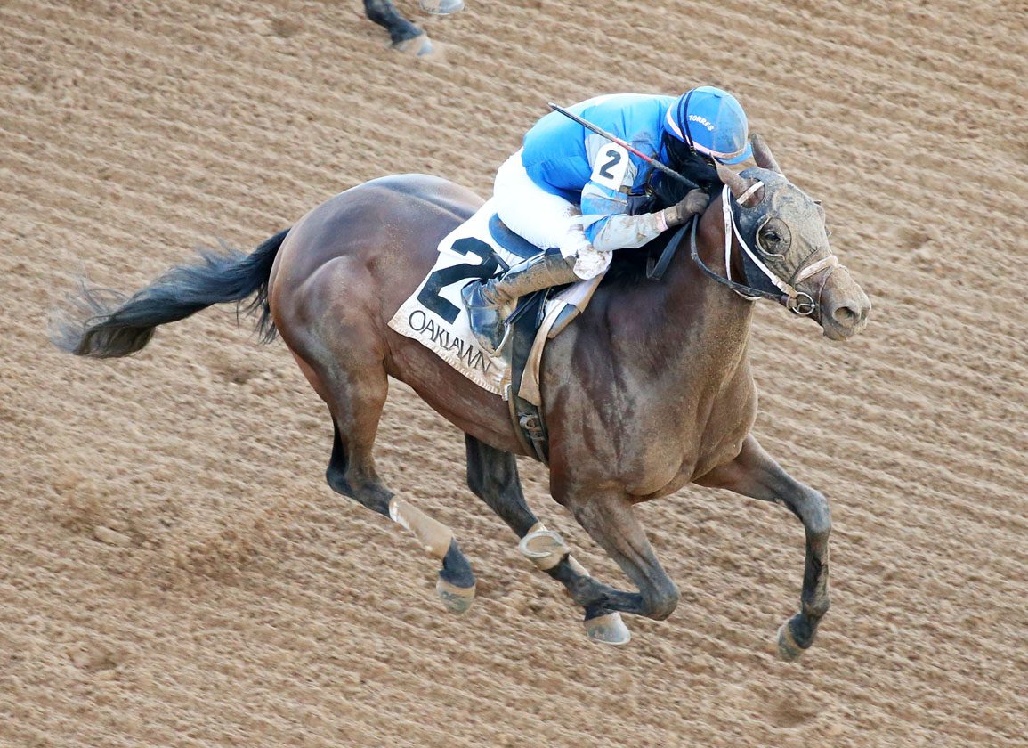 Albaugh Horse in Kentucky Derby: Can They Win? Everything You Need to Know About This Years Big Race