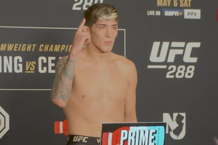 Bedoya UFC: Is He the Next Big Thing in the Octagon?
