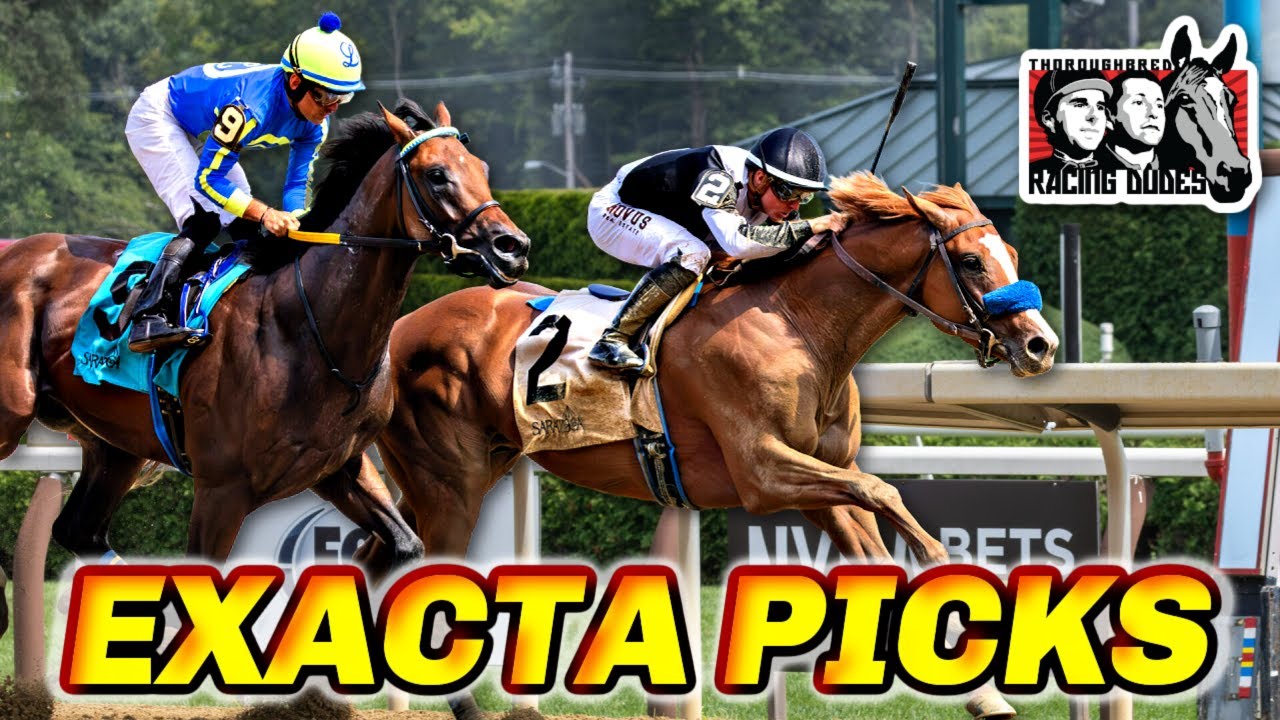 Get the Latest! Whitney Stakes 2024 Results Are Finally Here!