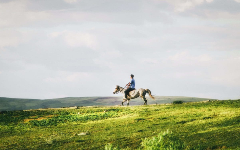 Top Tips to Boost Your Equestrian Vet Salary Now!