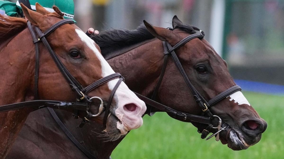 Malibu Stakes 2023 Predictions: Expert Picks and Analysis for Who Will Win This Years Race and Why!
