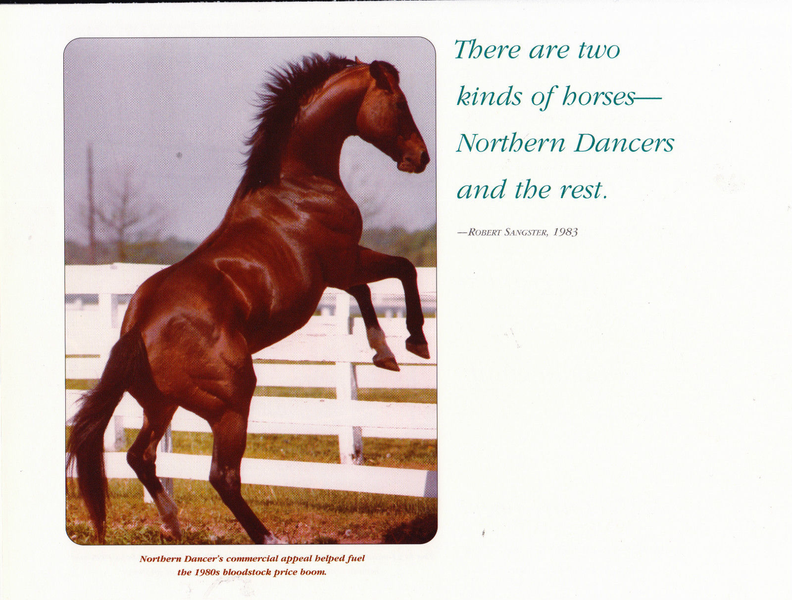 Why eskendereya is a legend (Learn the story and success of this amazing horse)