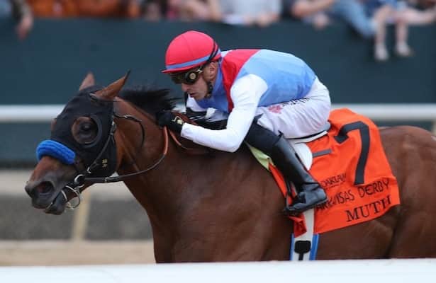 Muth Horse: Is It Worth It? Simple Answers for You!