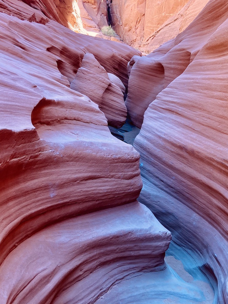 Best Desert Canyons to Visit: Your Ultimate Bucket List (Easy Guide to Finding Awesome Desert Canyons)