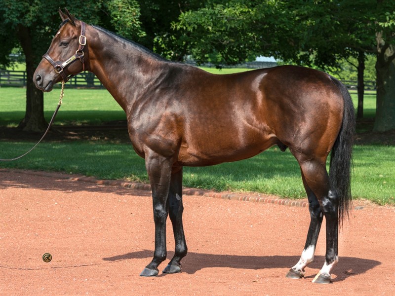 Mckinzie Stallion: Everything you should know about her!