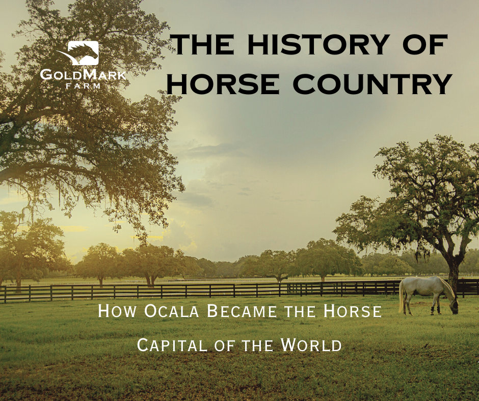 How Did Ocala Become the Horse Capital of the World? Explore the Journey of This Equestrian Powerhouse!