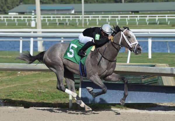Saffie Josephs Winning Ways: How Hes Taking Racing by Storm