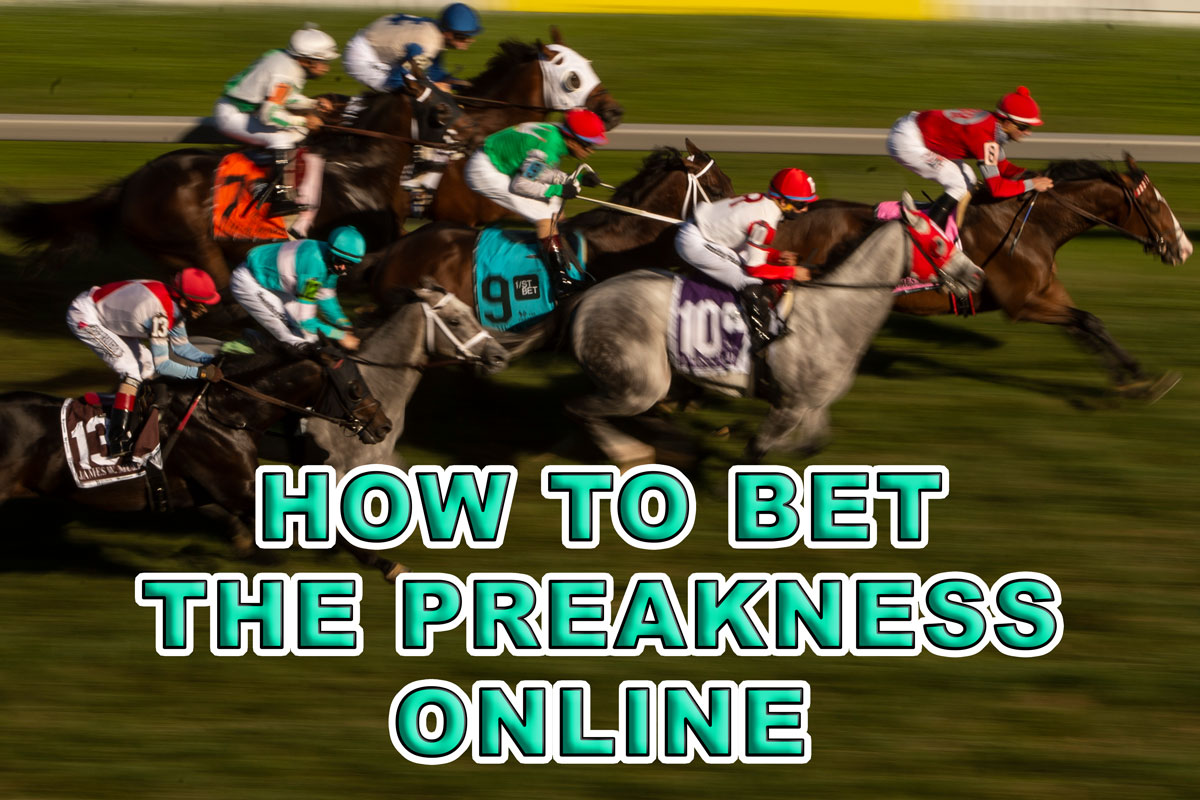 How to bet the Preakness for dummies? (Everything you need to know)