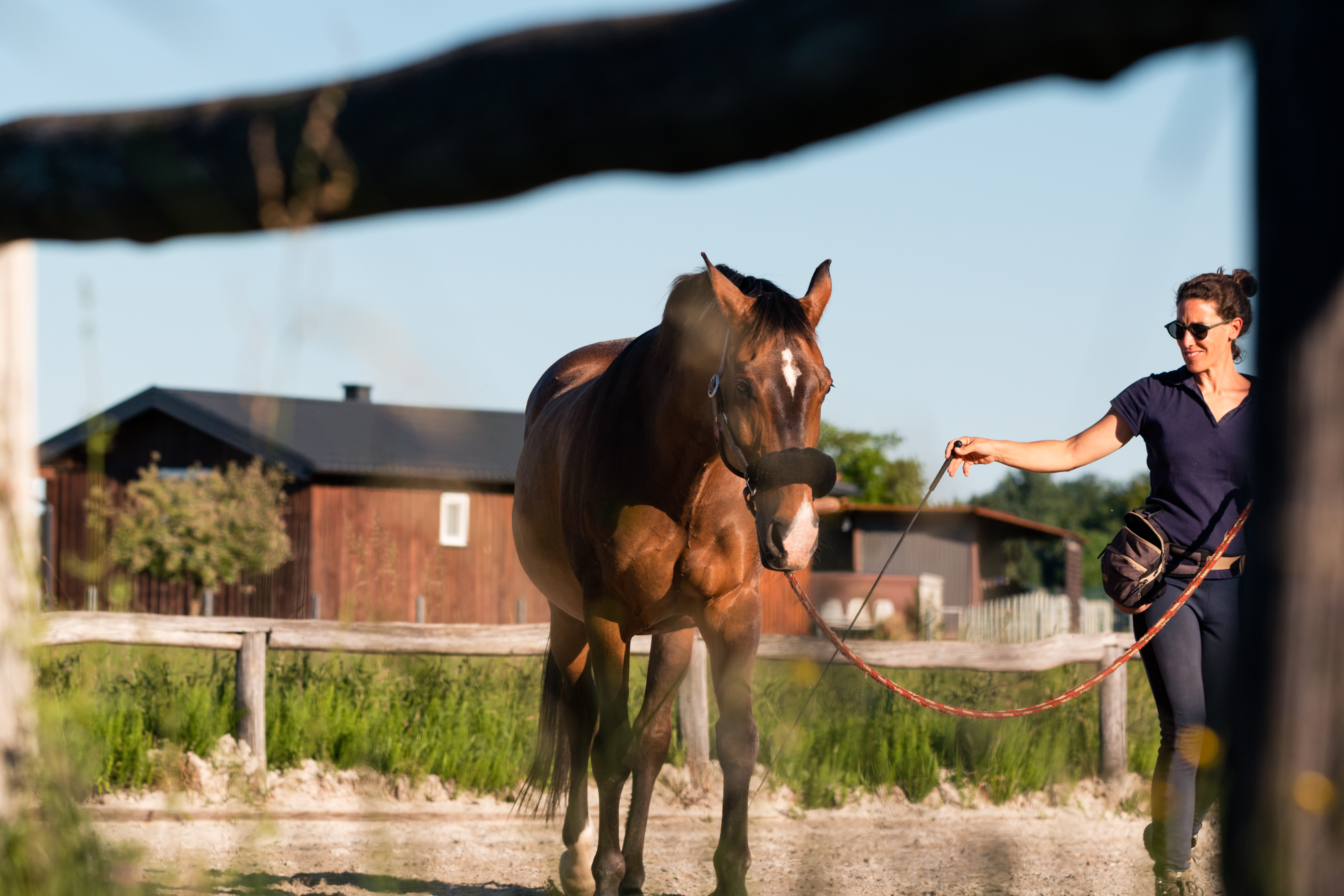 What Do Horse Trainers Get Paid Average? Simple Guide to Horse Trainer Salaries