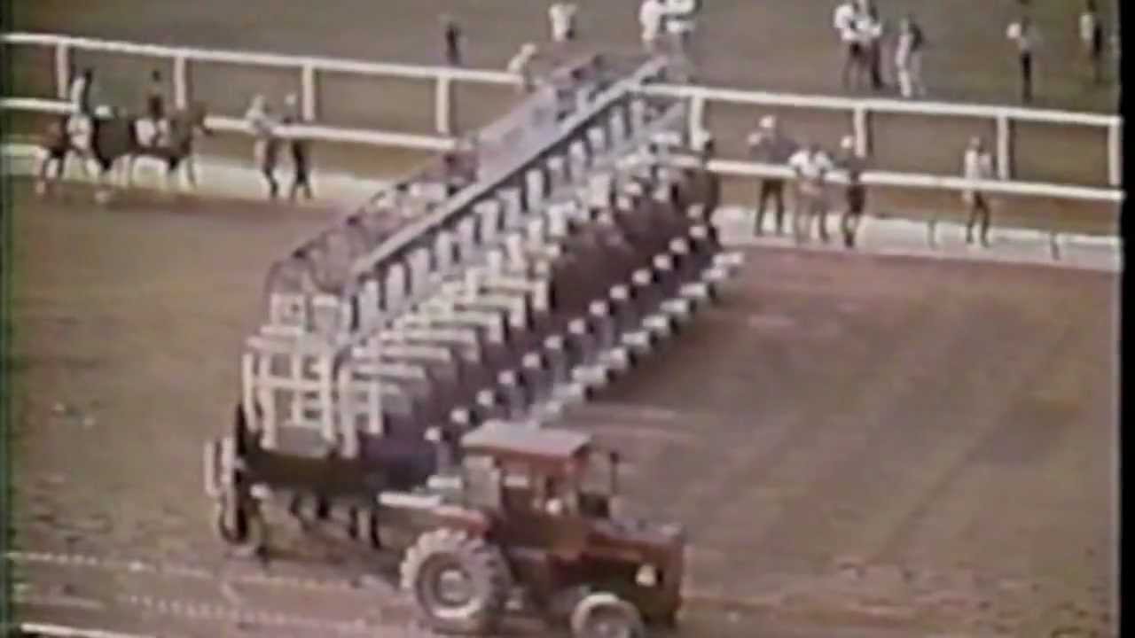 Video Secretariat Belmont: How to Become One & What They Do