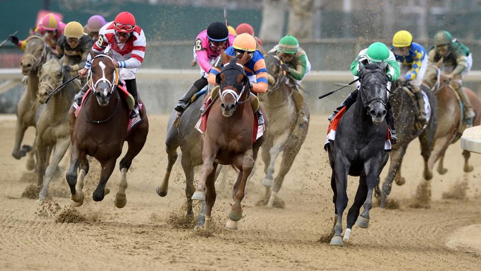 Wood Memorial 2024: When Is Post Time? All the Details You Need Today!