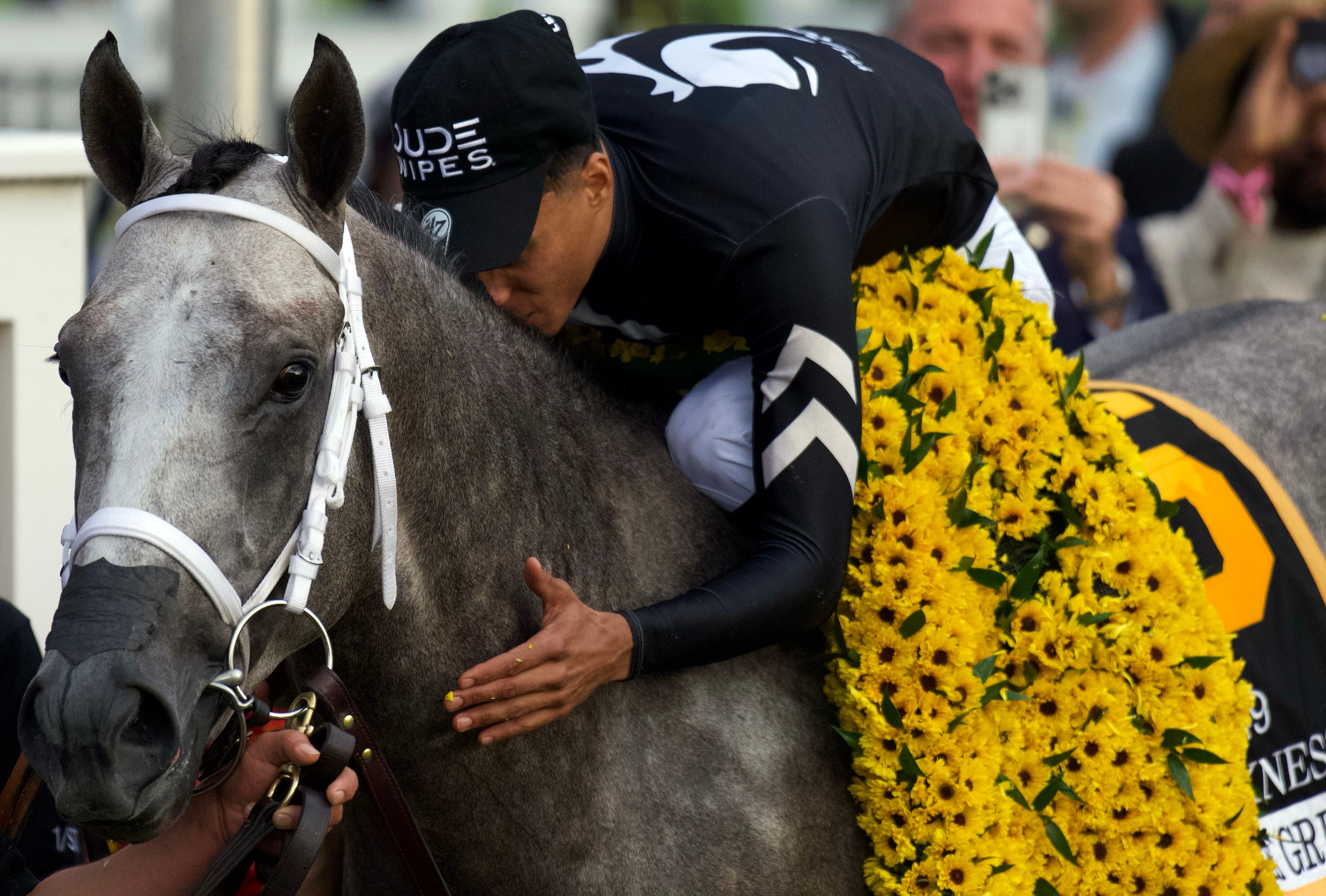 Seize the Gray Racehorse: Learn How to Pick Winners in Horse Racing