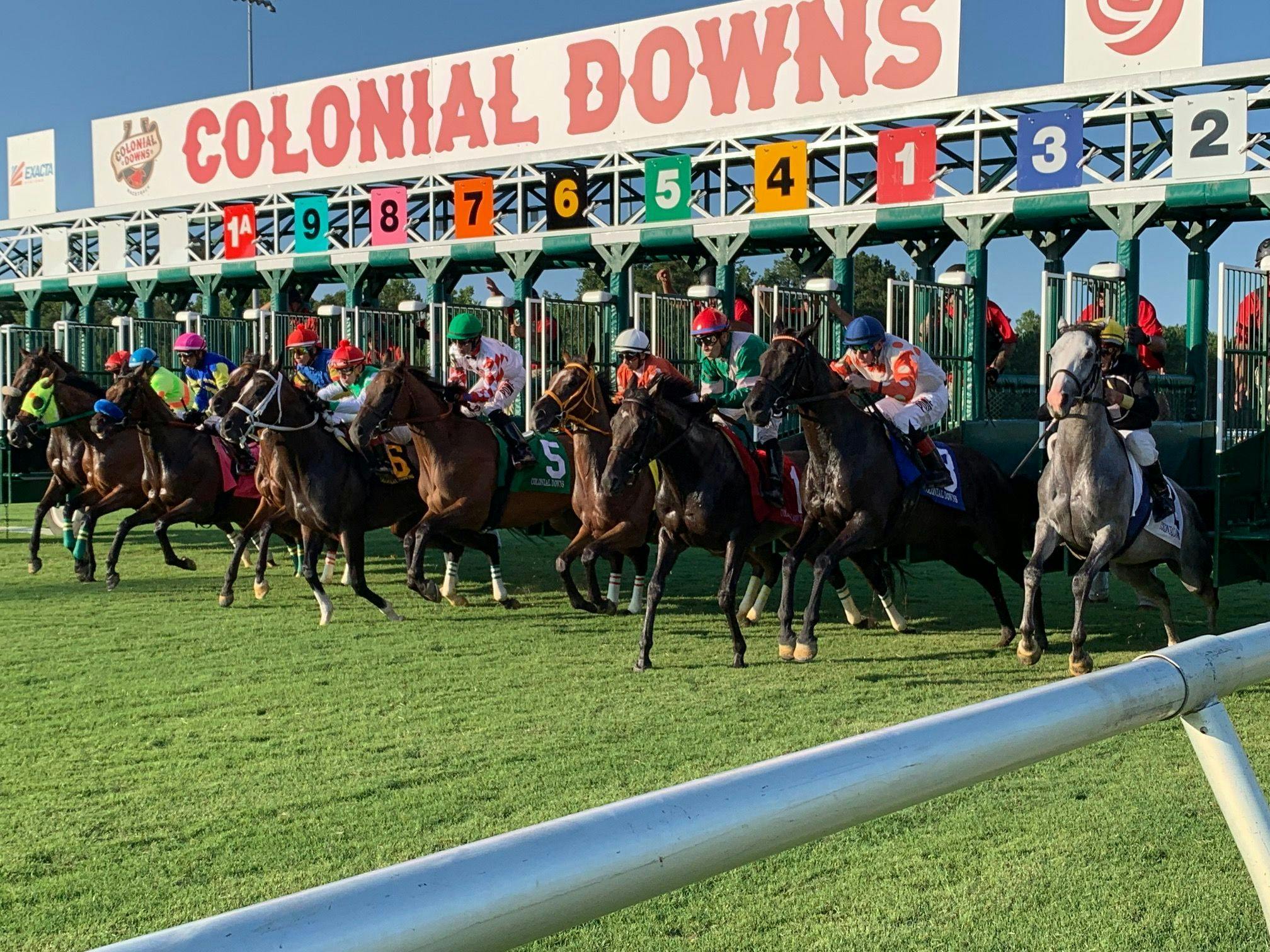 Colonial Downs: What Are the Best Events? Dont Miss These Races!