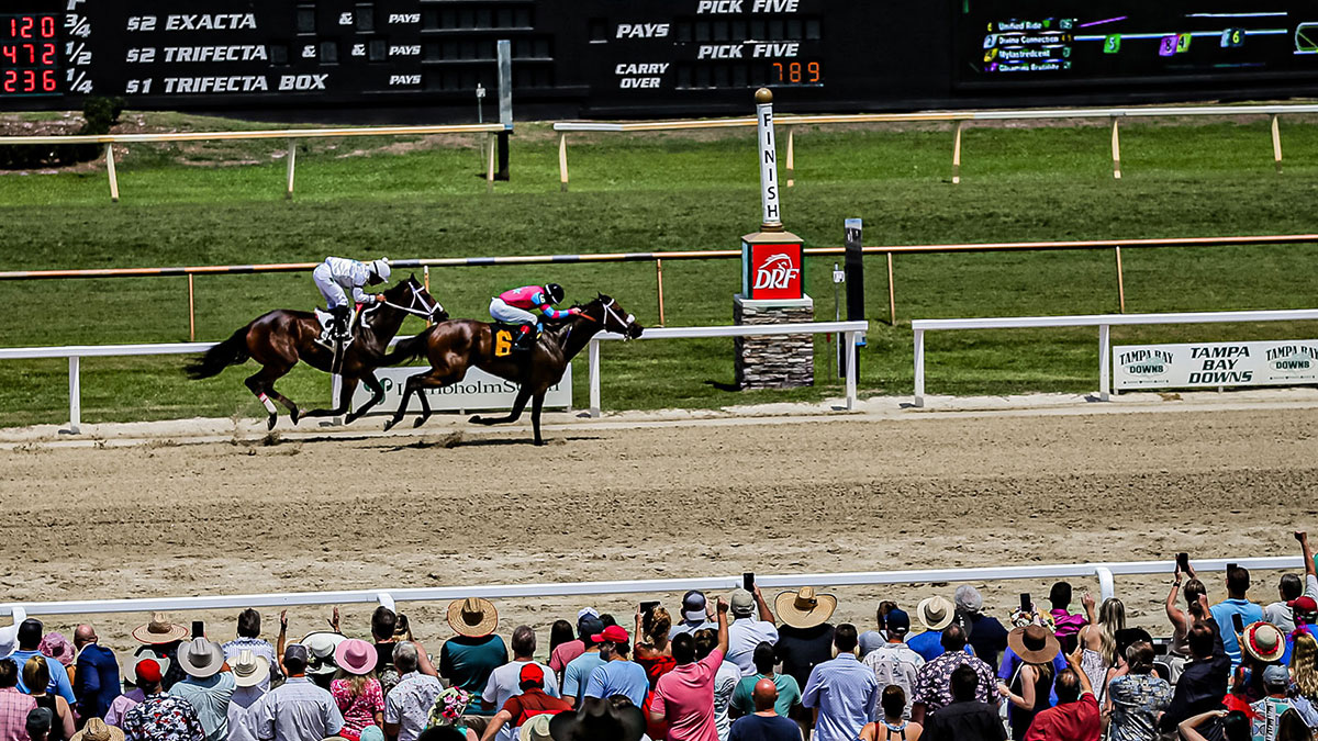 Tampa Bay Downs Results: All the Winners and Payouts.
