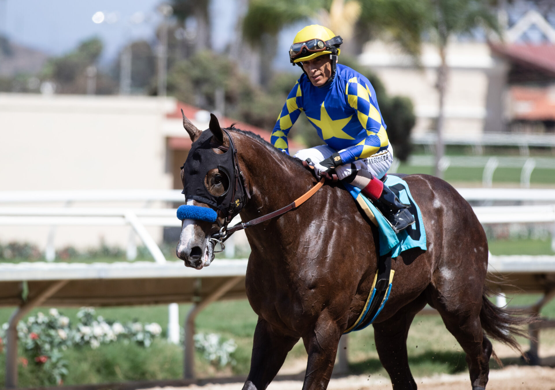 Hollywood Gold Cup 2024 Horses: Check Out the Lineup and Their Chances to Win Big