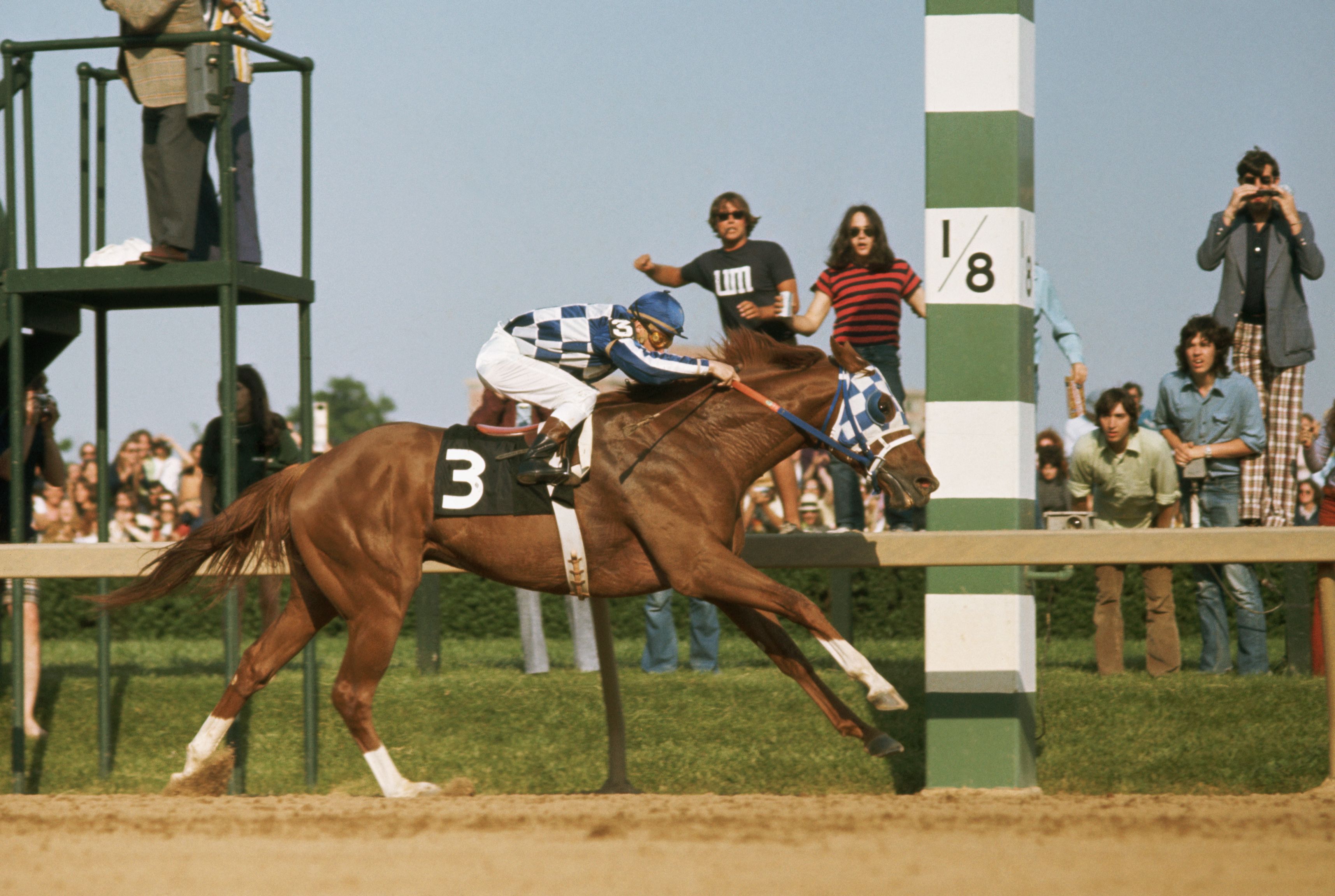 Secretariat the Horse Pictures: Check Out These Incredible Images of the Champion!