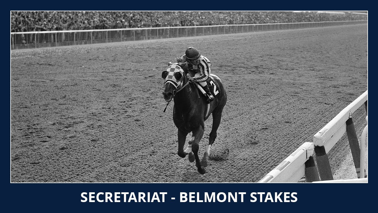 Video Secretariat Belmont: How to Become One & What They Do