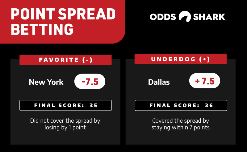 +1.5 Spread Explained: What Does +1.5 Spread Mean in Simple Terms?