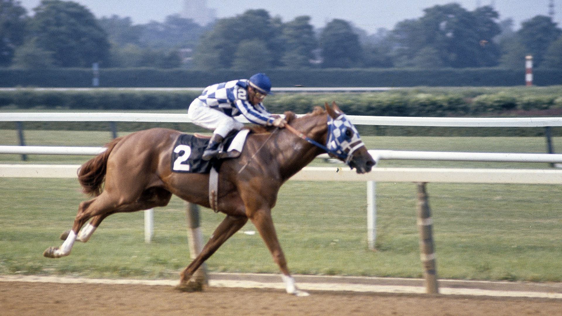 Explore the Secretariat Pedigree: Why Was This Racehorse So Fast? Find Out Now!