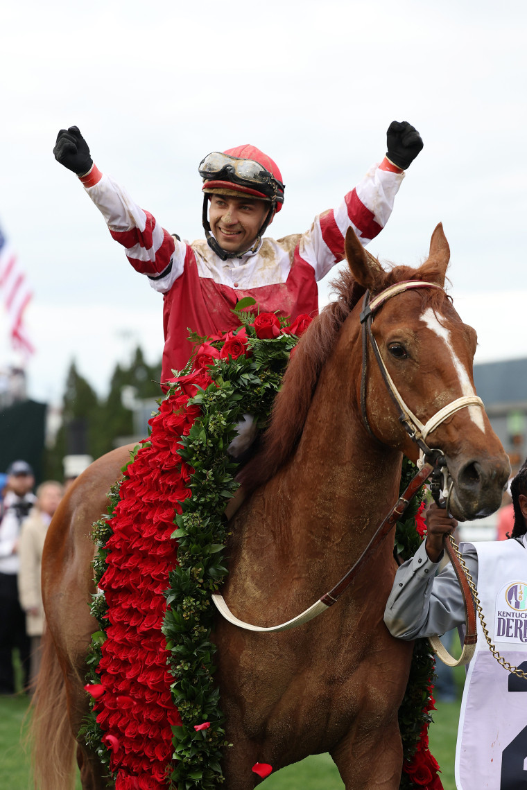 Rich Strike Horse: Odds and Wins (The Story Behind His Kentucky Derby Win)