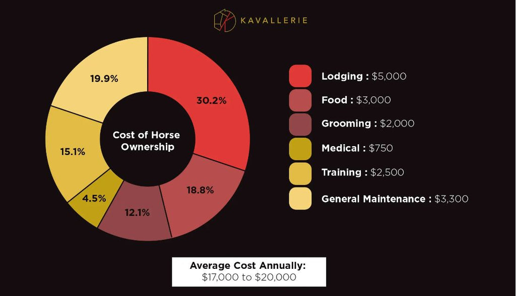 Horse Racing Owner Guide How Much Does It Really Cost