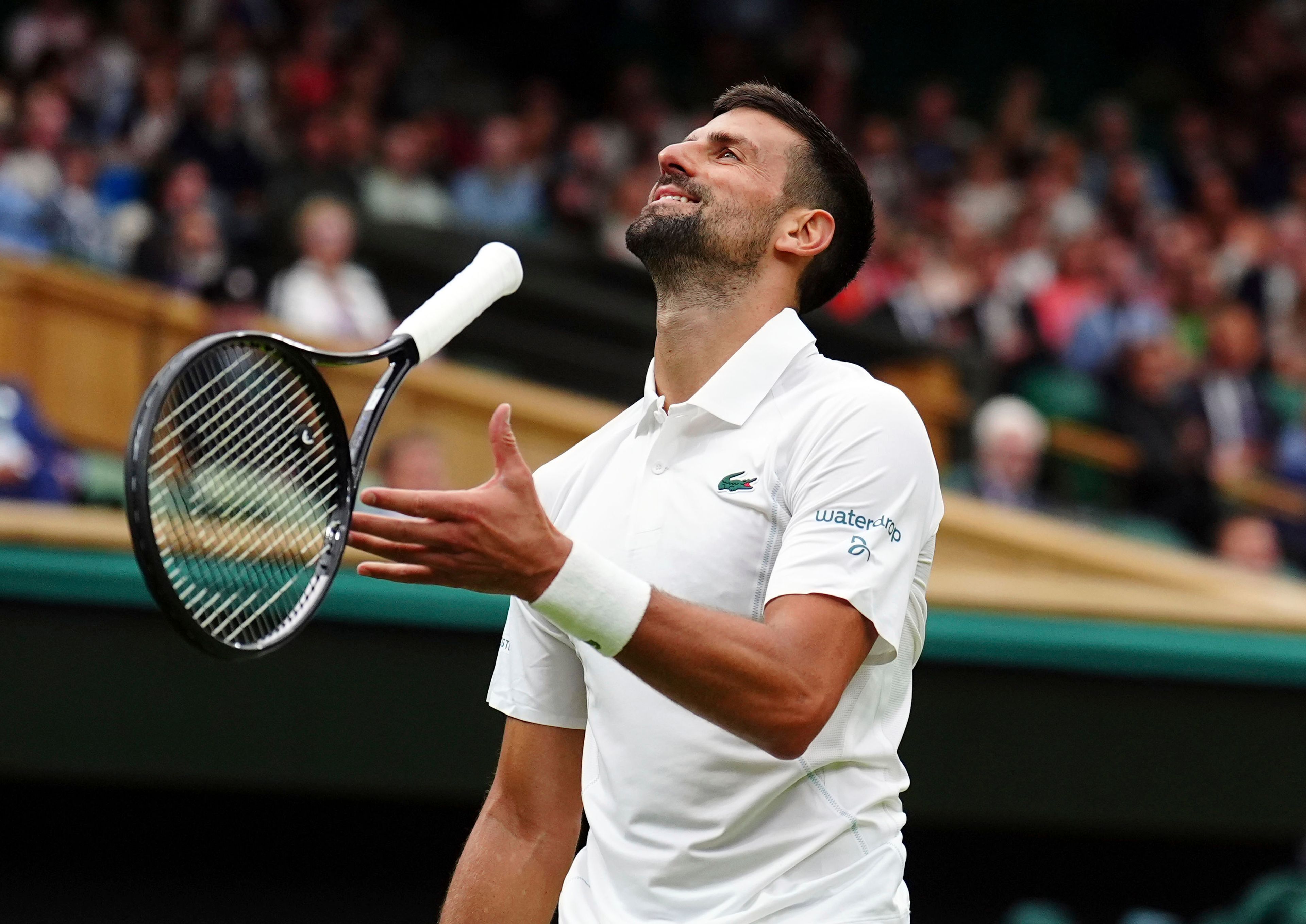 Djokovic Latest Match Updates: See How He Fared in His Last Tennis Game Now!