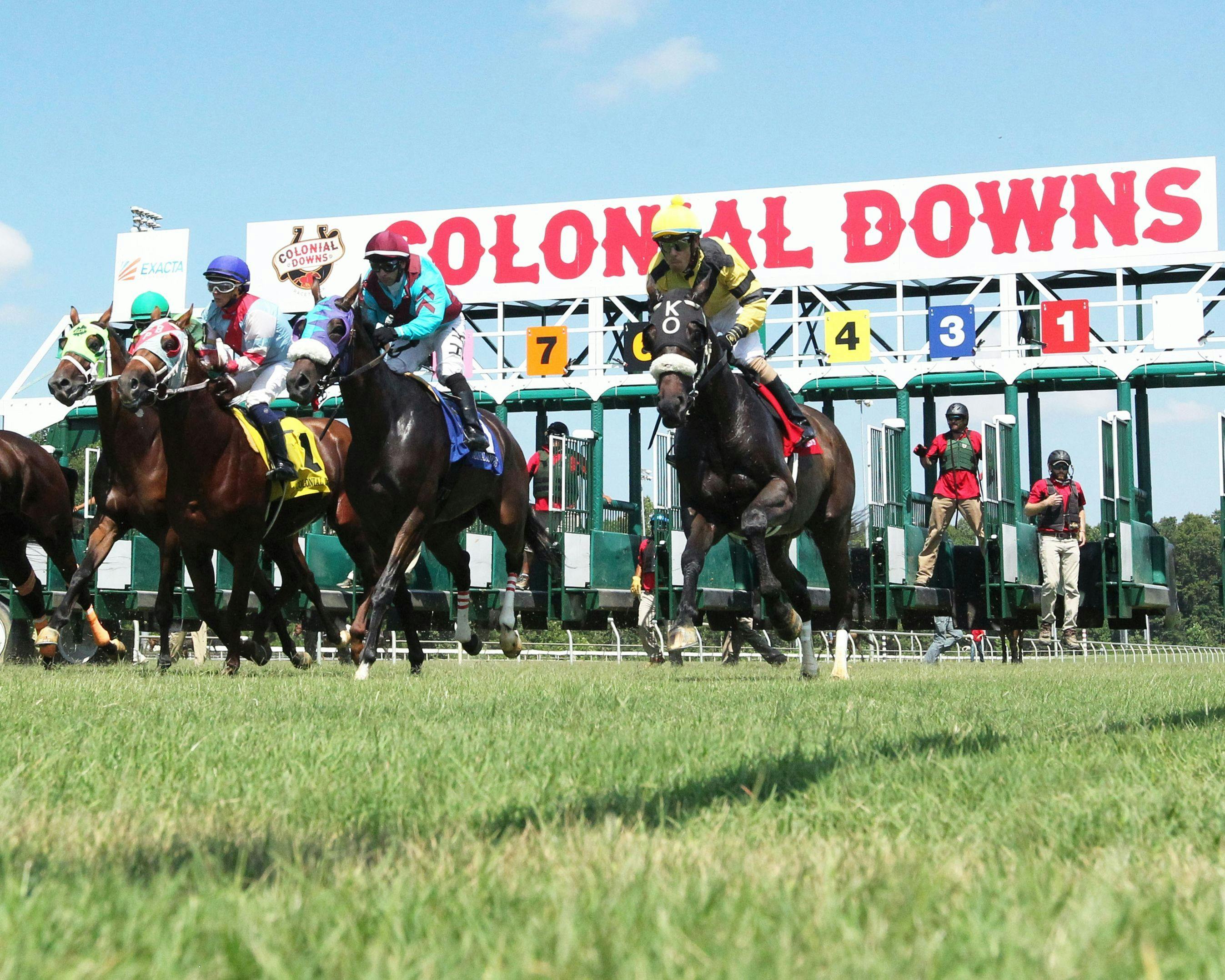 Colonial Downs: What Are the Best Events? Dont Miss These Races!