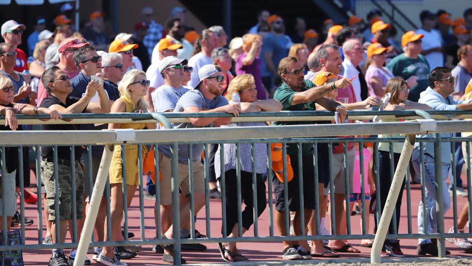 Watching the Pennsylvania Derby Where to Catch All the Racing Action