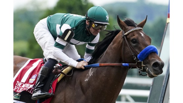 Breeders Cup 2026:  Who Will Win?  See Our Predictions for the Biggest Horse Race.